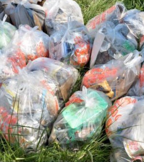 203人が参加し、116袋分、5,220リットルのゴミを回収した