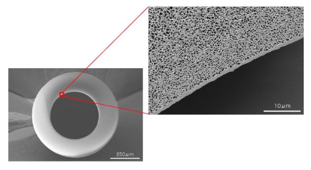 中空糸膜分離の断面電子顕微鏡画像(左)と、表面緻密層の拡大