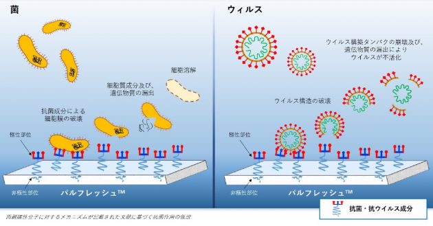 「パルフレッシュ」の抗菌・抗ウイルスメカニズムの概念